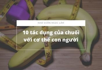 10-tac-dung-cua-chuoi-voi-co-the-con-nguoi